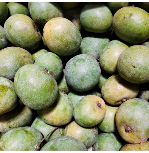 Mango - Chakrakutty 