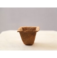 Coco Spanish Cup (small)