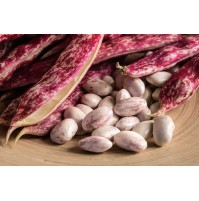 Cranberry Beans ( Borlotti Beans )