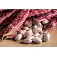 Cranberry Beans ( Borlotti Beans )