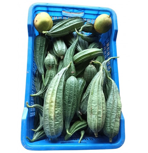 Desi Ridge Gourd (Smaller Sized)