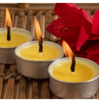 Easy Diya Tea Lights 12 pcs (pure cow ghee, burning time 1.5 hours)