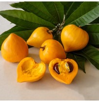 Egg Fruit