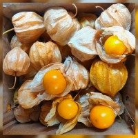 Golden Berry ( Rasbhari/Cape gooseberry/Inca berry , 200gms Box)