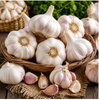 Himalayan Garlic (Big Size)