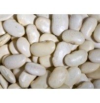 Butter Beans (Lima Beans) - SHELLED (Packed in Ziplock)