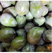 Mango - Manoranjani (3-4 days to ripen) 