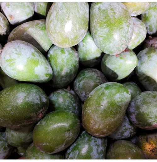Mango - Manoranjani (3-4 days to ripen) 