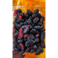 Mulberry (150gm per box)
