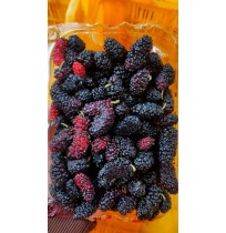Mulberry (150gm per box)