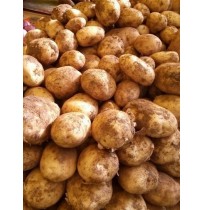 OOTY Potato (Fresh Harvest)