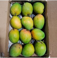 Payri Mango (6 pcs box, 2-3 days to ripen)