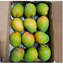 Payri Mango (6 pcs box, 2-3 days to ripen)