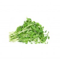 Micro Greens - Peas (50gms, Harvested)
