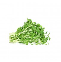 Micro Greens - Peas (50gms, Harvested)