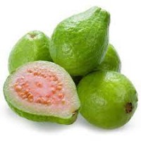 PINK Guava OVAL
