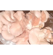 Mushroom - PINK Oyster (200gm box, 3 Day Shelf life)