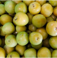 Shiro Plum (From Himachal, 500gm Box)