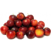 Plums (from Kodai, 250g box)