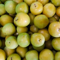 Shiro Plum (From Himachal, 500gm Box)