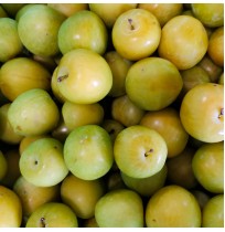 Shiro Plum (From Himachal, 500gm Box)
