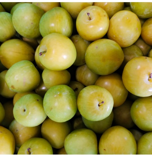 Shiro Plum (From Himachal, 500gm Box)