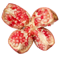 Fresh Pomegranate (Medium)