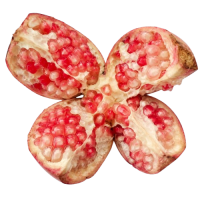 Fresh Pomegranate (Medium)