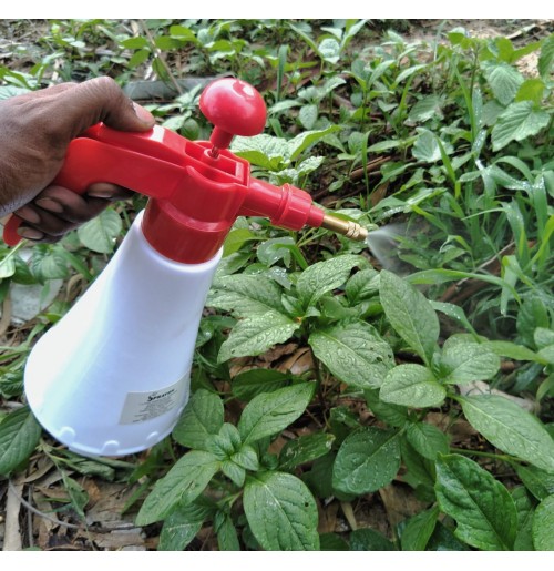 Hand Compression Sprayer (1 litre)