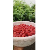 Raspberry (130gms)