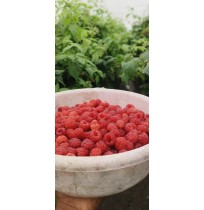 Raspberry (130gms)