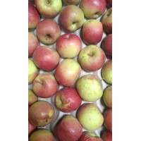 Apples - RED Golden (small/ med size, from Shimla)