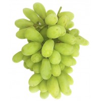 Green Grapes (Seedless, Oval Shape, SONAKA Variety) 