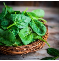 *Cut Leaf Spinach 200 GM (Pre washed, Organic, Satva Farm)