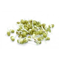 Ready to Use - Sprouts - Green Moong  (200 Gms)