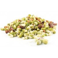 Ready to Use - Sprouts - Mixed  (200 Gms Box)