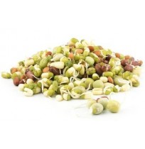 Ready to Use - Sprouts - Mixed  (200 Gms)