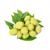 Star Gooseberry (Nellikkai) 