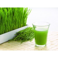 Wheatgrass (50gms, Harvested)
