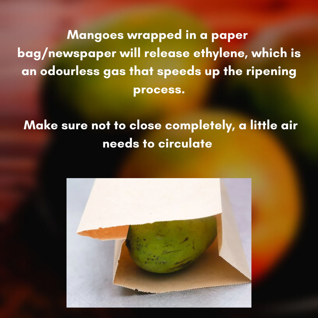 mango