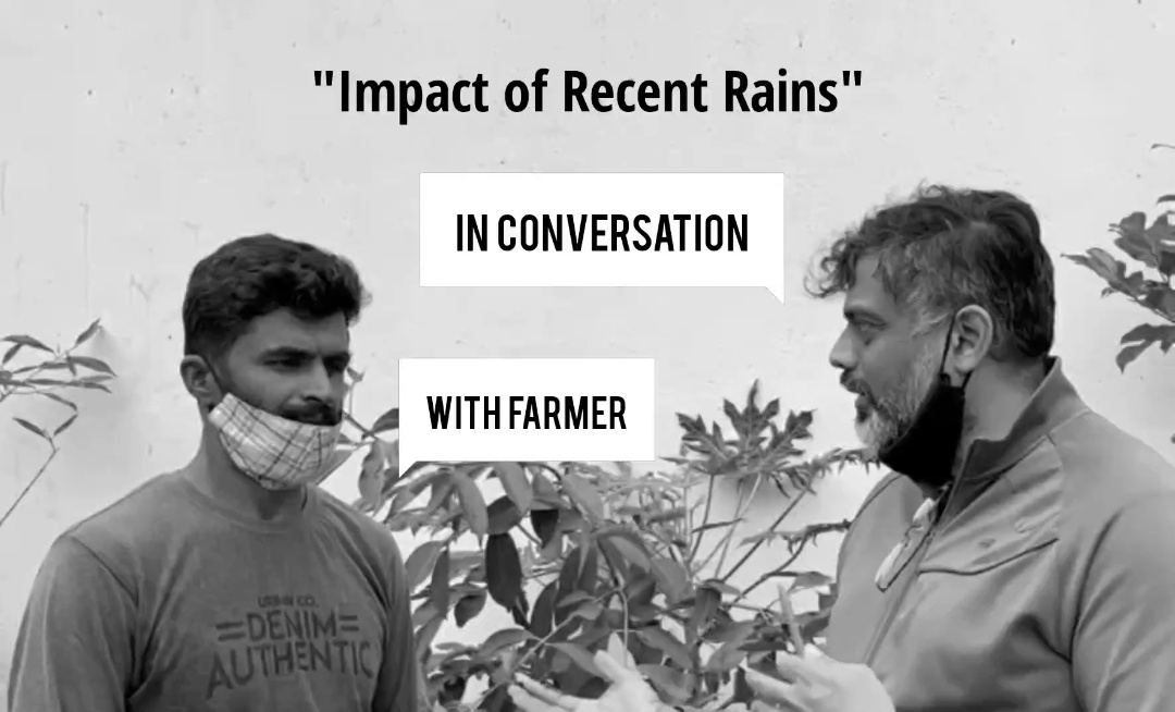 Conversation With Farmer About Rains Impact