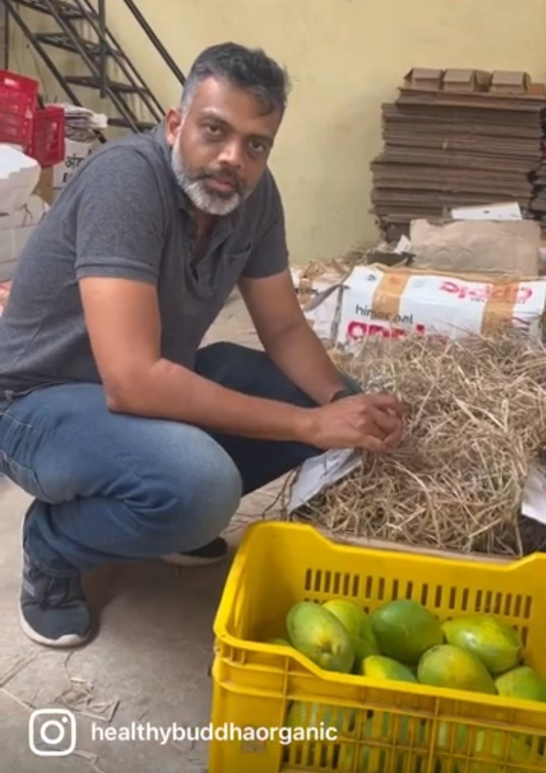 How HB Ripens Mangoes Naturally vs Harmful Carbide Method
